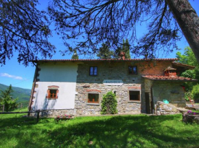 Alluring Farmhouse in Ortignano with Swimming Pool Castel Focognano